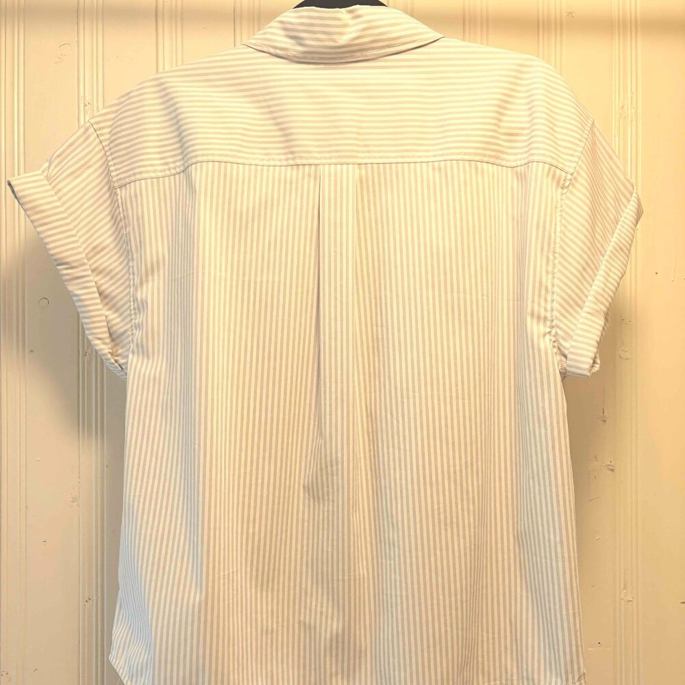 Frame Stripe Button-Up Cuffed Shirt - Picture 7 of 7